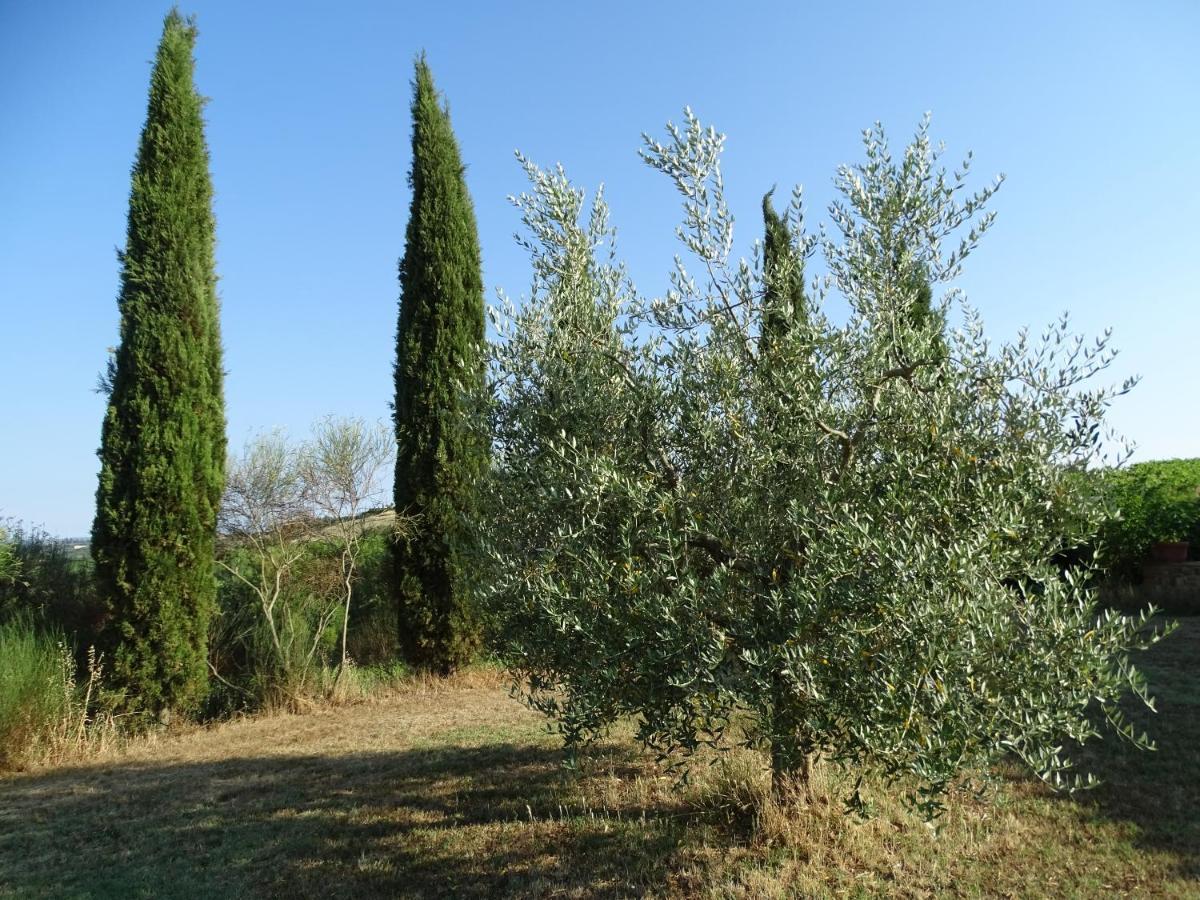 Teruzzi Country House San Gimignano Exterior photo