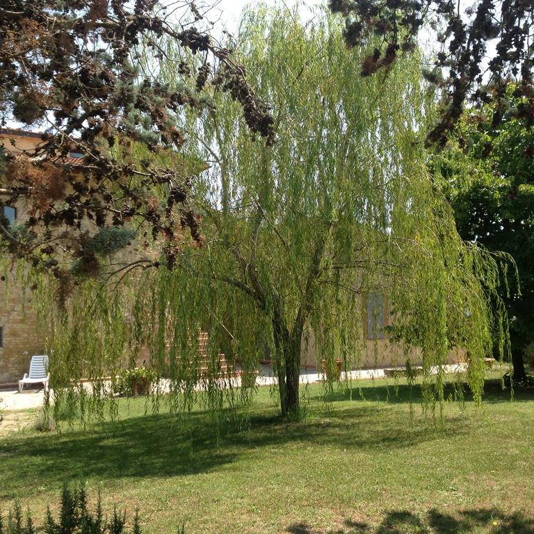 Teruzzi Country House San Gimignano Exterior photo